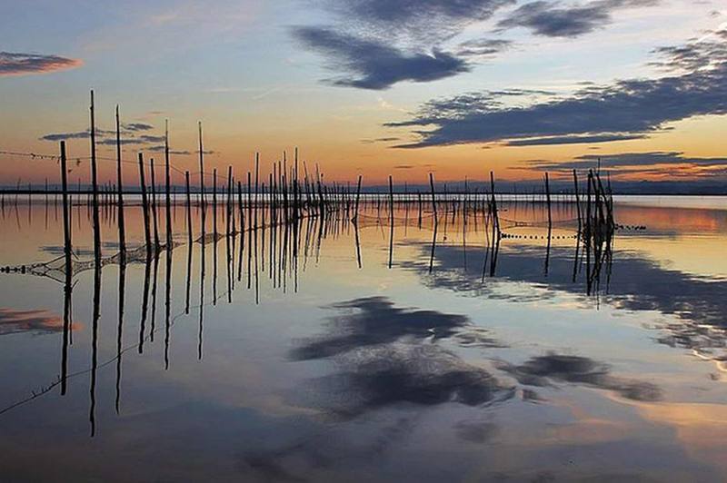 Valencia’s natural park, Albufera, is home to the largest lake in Spain and some of the most amazing species.