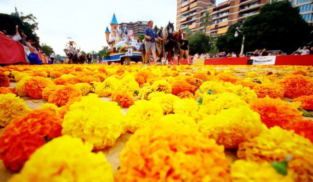 Batalla de las flores